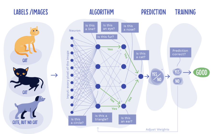 Deep Learning Basics icon